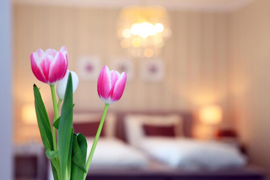 Hotel Krone Bad Ragaz Pokoj fotografie